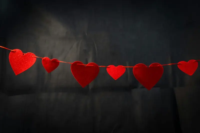 結婚線が二本・二股の意味｜2本ある人の結婚回数と運勢を解説