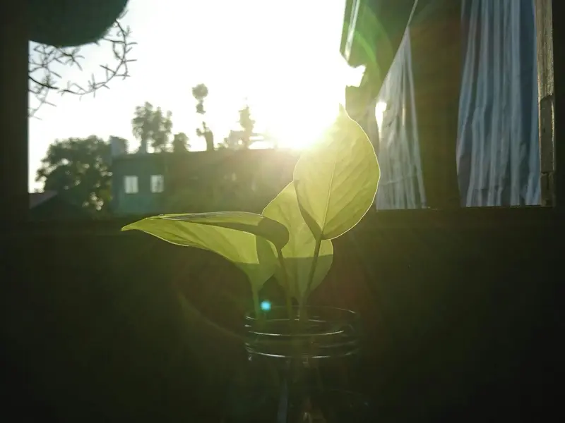 生命線から枝分かれする線の意味｜上向き・下向き・本数別に解説