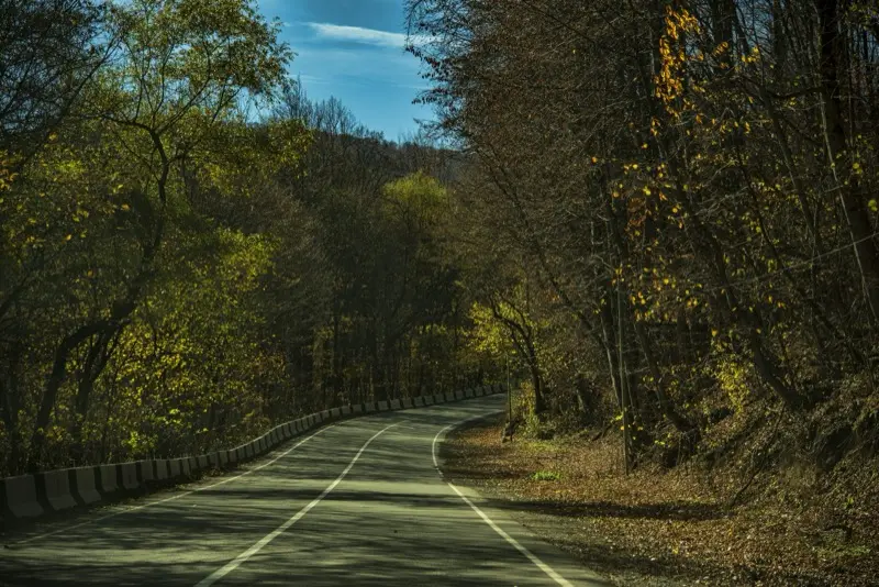生命線が二股に分かれる意味｜先端・途中の違いを手相で解説