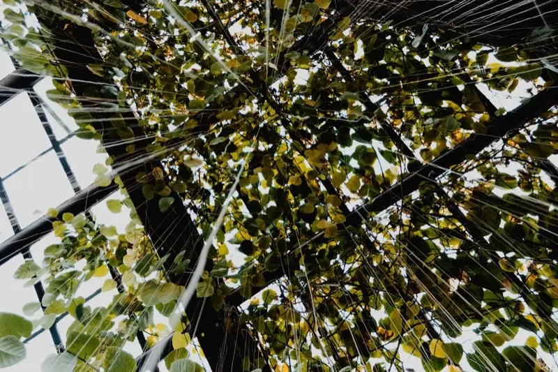 運命線がない人の意味と性格｜ないのは悪いこと？手相で徹底解説